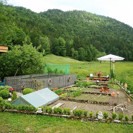 Haus Elfi Pensionat Faistenau